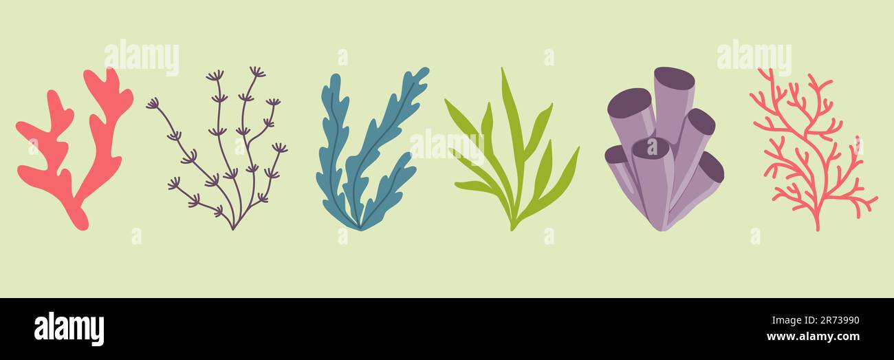 Ensemble de plantes aquatiques ou d'algues marines et d'aquarium, plantation sous-marine, illustration vectorielle Illustration de Vecteur