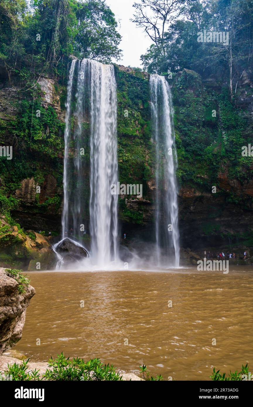 La cascade de Misol Ha consiste en une seule cascade de 35 m de hauteur qui tombe dans une piscine unique, presque circulaire, au milieu de la végétation tropicale. Est assis Banque D'Images