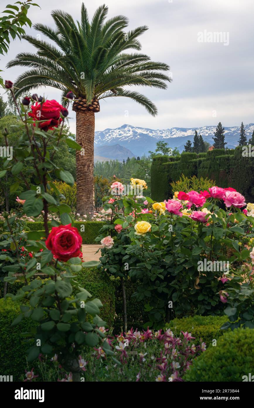 Jardins de San Francisco à l'Alhambra avec montagnes de la Sierra Nevada en arrière-plan - Grenade, Andalousie, Espagne Banque D'Images