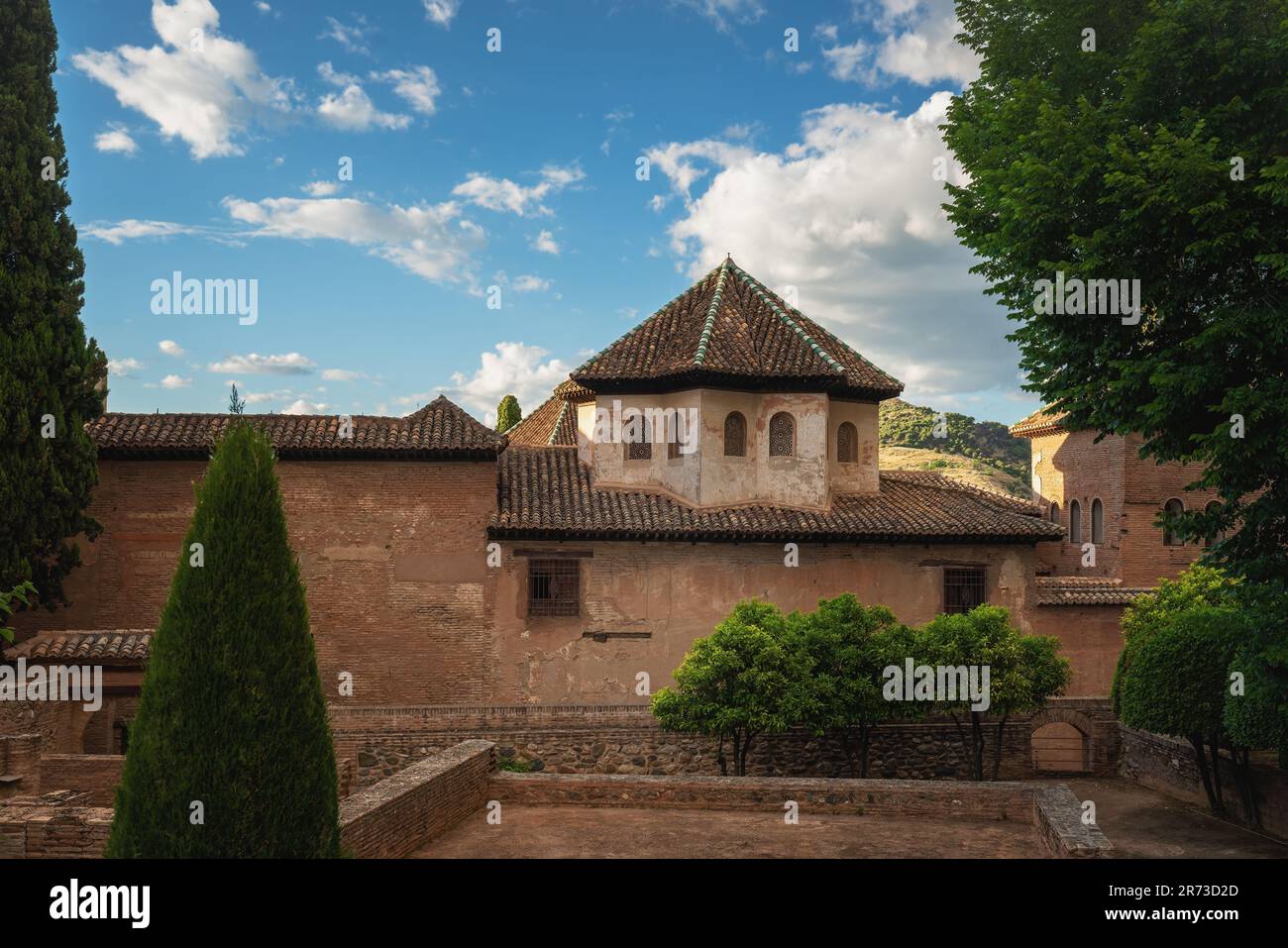 Tour de la salle des Abécerrajes aux palais Nasrides de l'Alhambra - Grenade, Andalousie, Espagne Banque D'Images