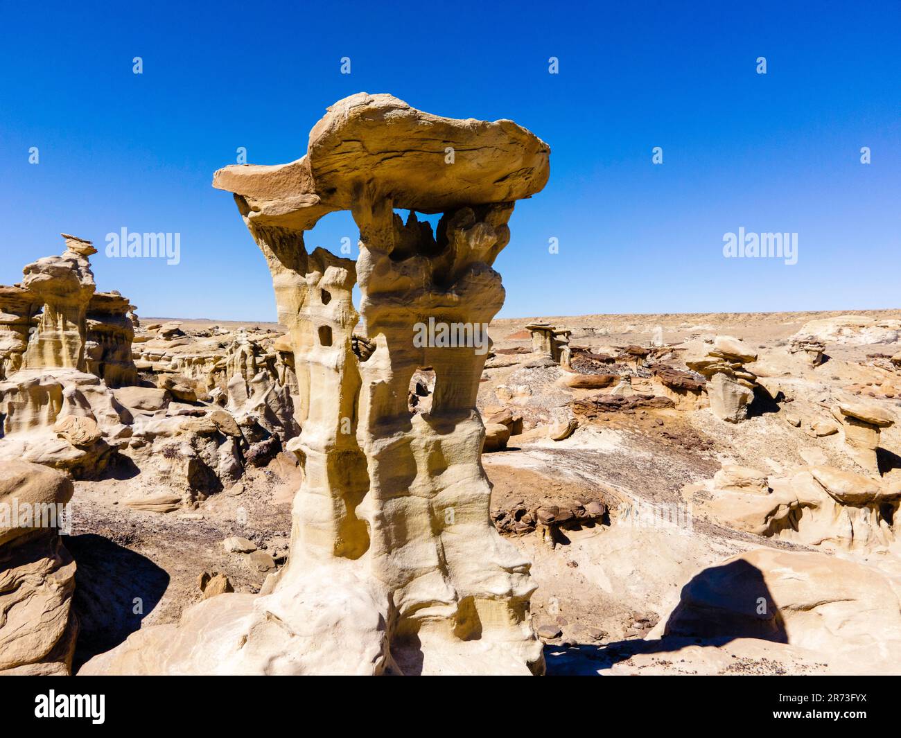 Le trône des Alien. Otherworldly Hoo doos dans les régions rurales et éloignées du Nouveau-Mexique, États-Unis. Banque D'Images