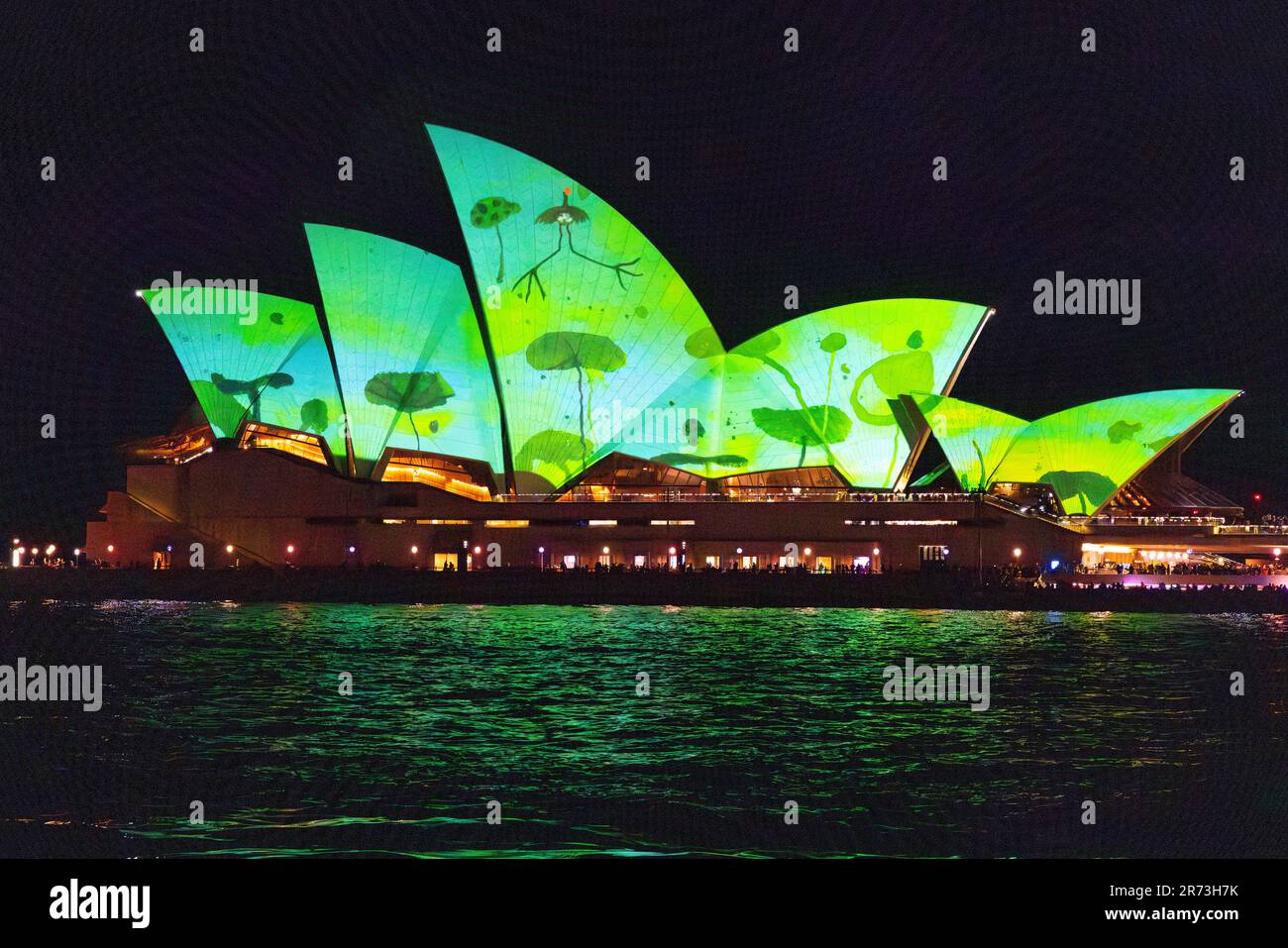 VIVE Sydney 2023. Spectacle de lumière et éclairage des voiles de l'Opéra dans le port de Sydney. Banque D'Images
