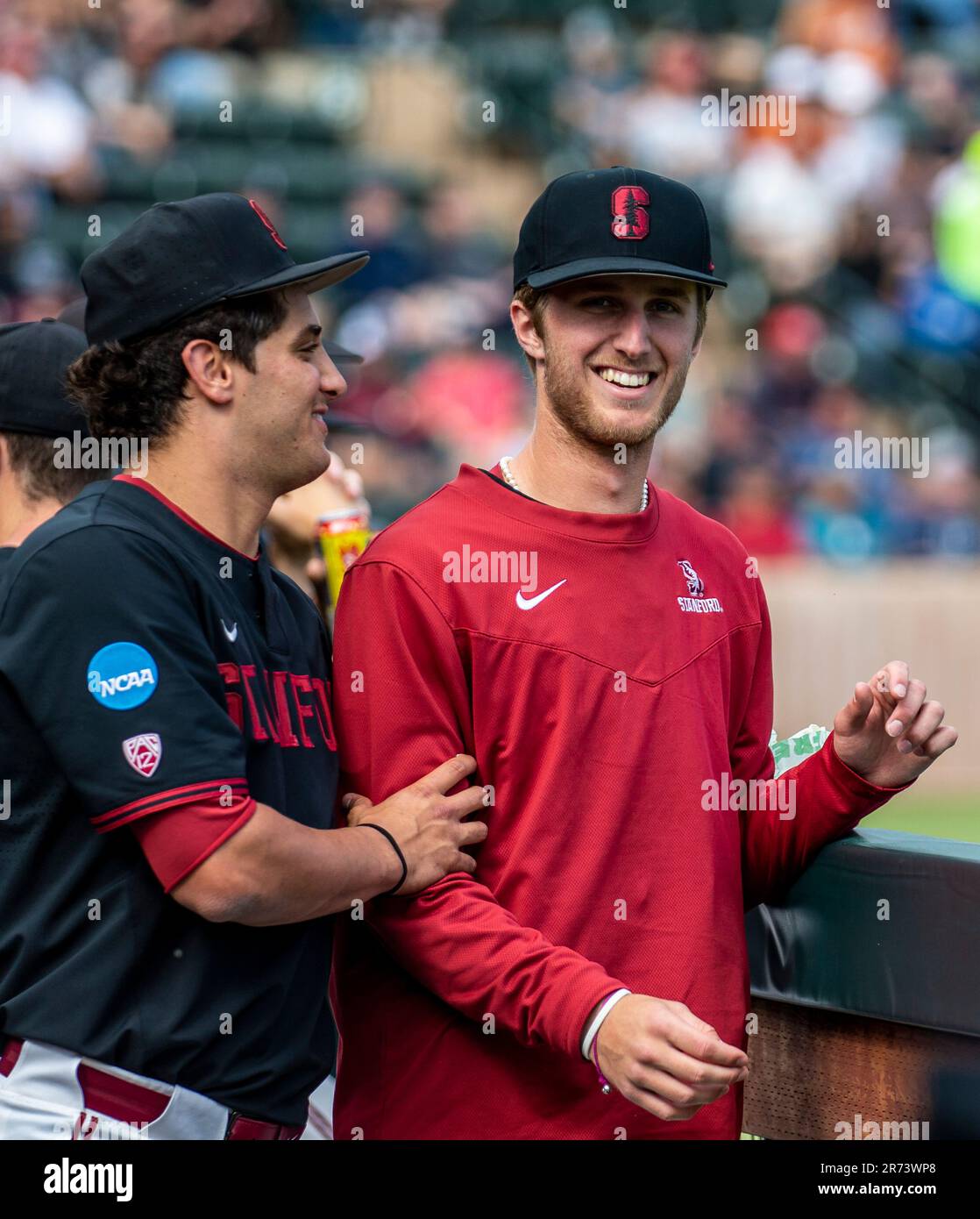 12 juin 2023 Palo Alto CA États-Unis Le pichet de Stanford Quinn Mathews (26) dans le dugout avant le match de NCAA Super Regional Baseball entre Texas Longhorns et le Cardinal de Stanford à Klein Field/Sunken Diamond à Palo Alto Calif. Thurman James/CSM(Credit image: © Thurman James/Cal Sport Media) Banque D'Images