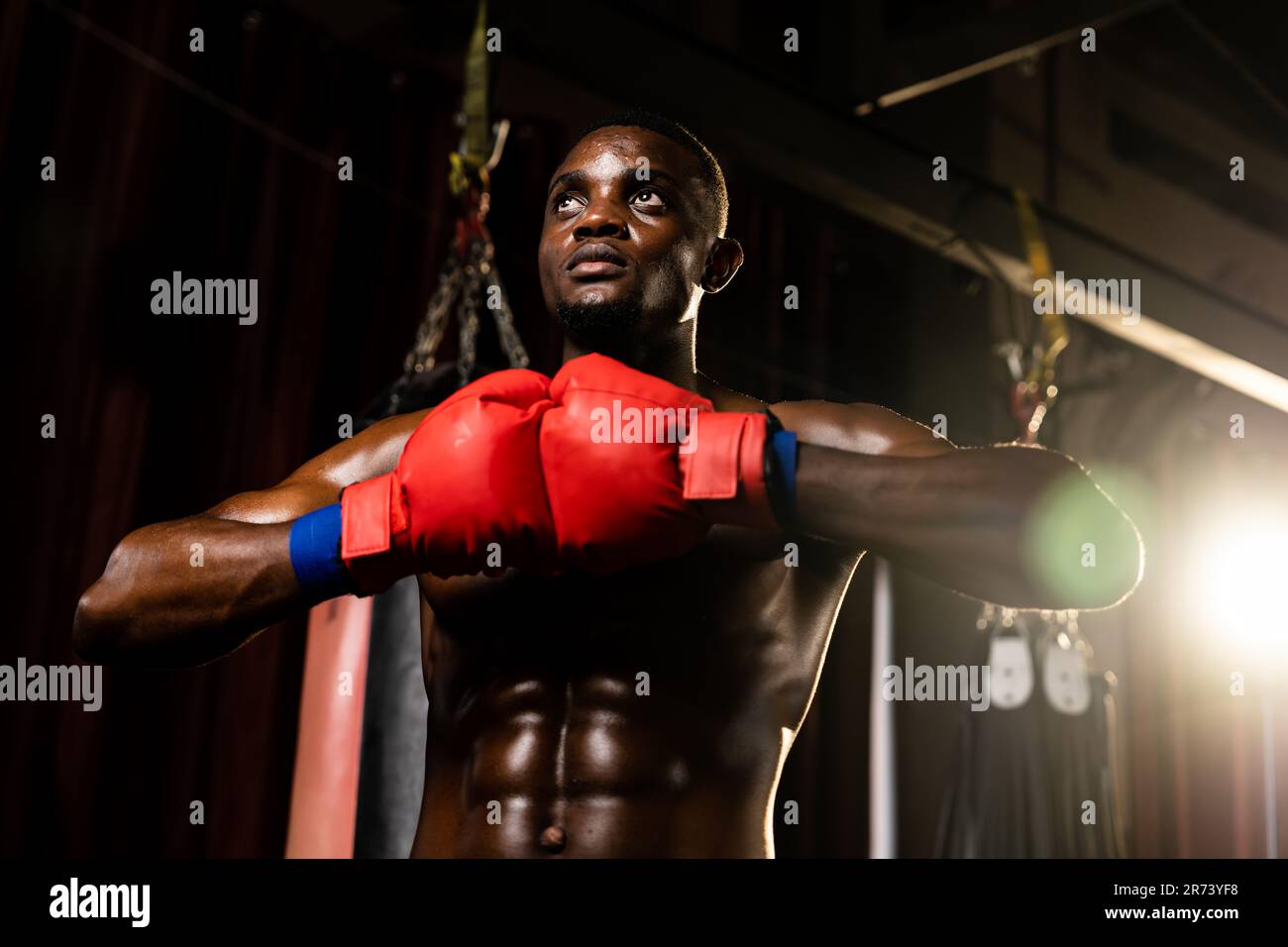 Le Boxeur Noir Afro am ricain Pose Un Boxeur Noir Qui A Mis Sa Main Ou 