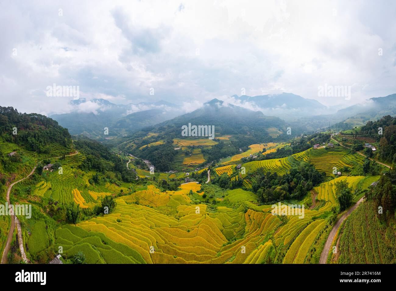 Majestueux champs en terrasse dans le district de Mu Cang Chai, province de Yen Bai, Vietnam. Champs de riz prêts à être récoltés dans le nord-ouest du Vietnam. Banque D'Images