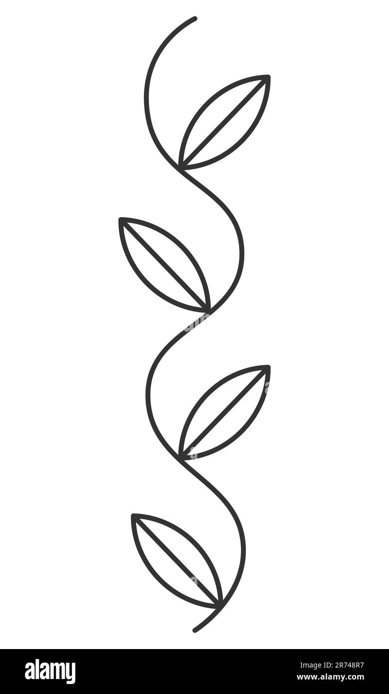 Branche décorative ligne simple élément floral branche d'oedle contour noir illustration vectorielle isolée sur fond blanc Illustration de Vecteur
