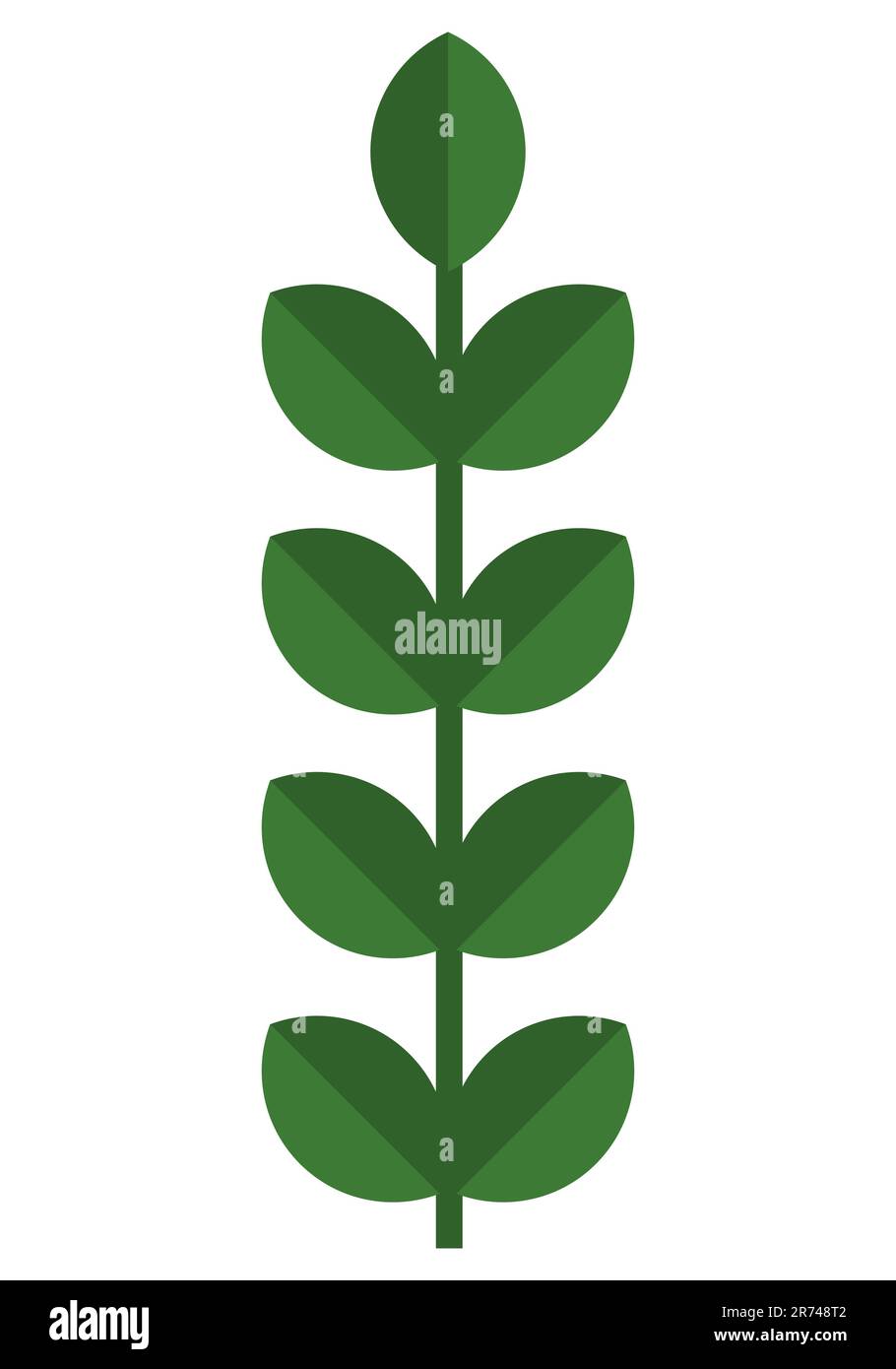 Motif floral décoratif symétrique branche verte feuilles simples illustration vectorielle isolée sur fond blanc Illustration de Vecteur