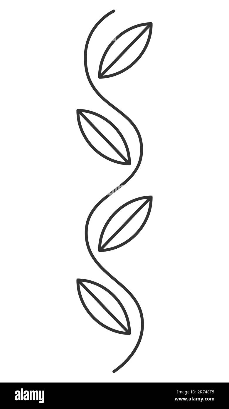 Contour de la branche de l'oedle ligne simple élément floral Contour noir illustration vectorielle isolée sur fond blanc Illustration de Vecteur