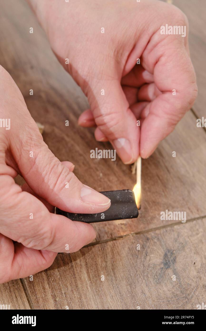 Femme fixe la section endommagée du parquet texturé dans sa maison, en restaurant son modèle. Banque D'Images