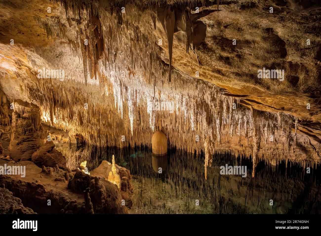 Grotte du Dragon, Coves del Drach, (Cuevas del Drach). Stalactite mystérieuses cavernes souterraines. Porto Cristo Iles Baléares Majorque Espagne. Vacances co Banque D'Images