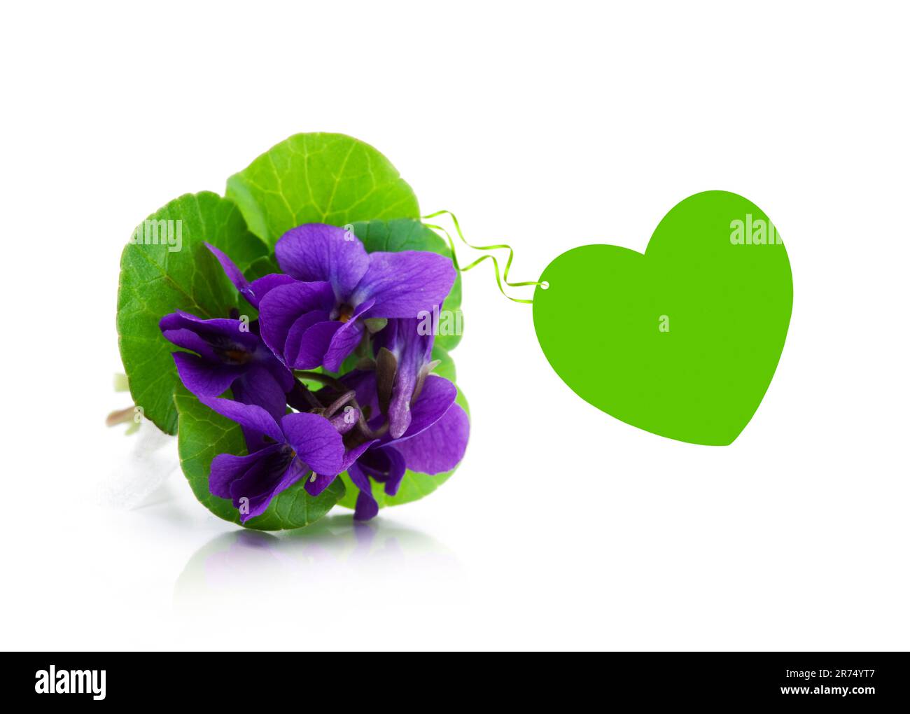 Bouquet violet avec coeur vert Banque D'Images