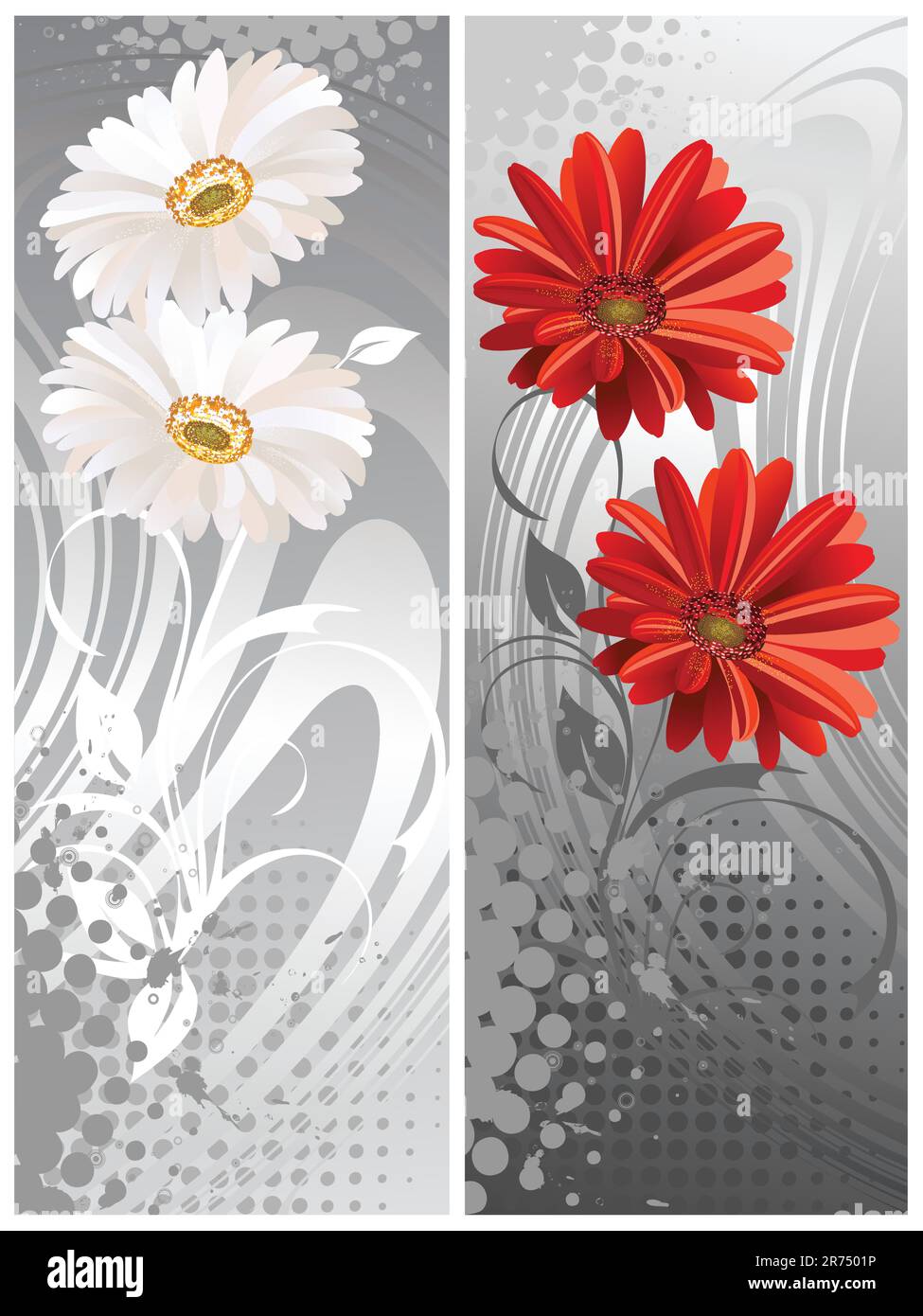 gerbera fleurs, deux bannera.Vektor illustration Illustration de Vecteur