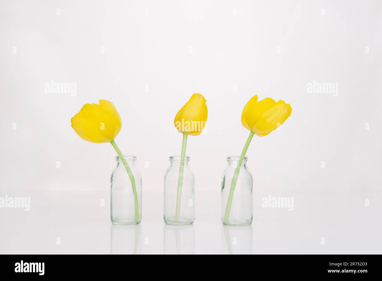 Trois tulipes jaunes dans trois vases à fleurs Banque D'Images