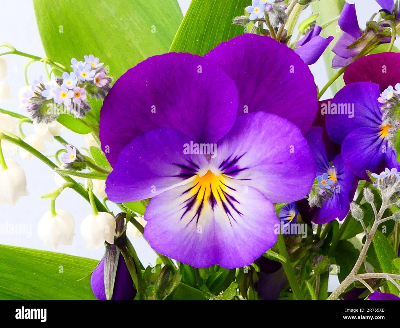 Bouquet de fleurs avec violettes Banque D'Images