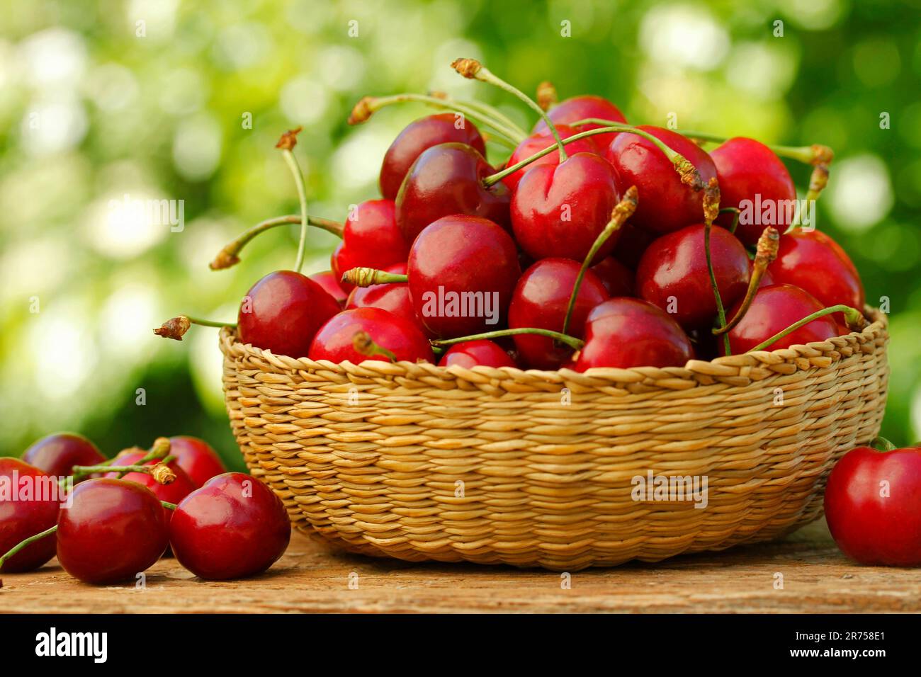 Cerises. Banque D'Images