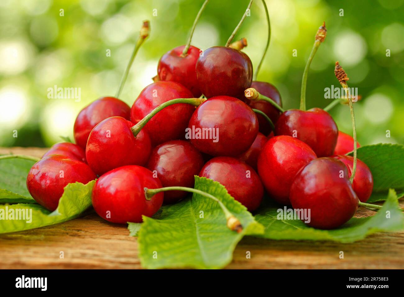 Cerises. Banque D'Images