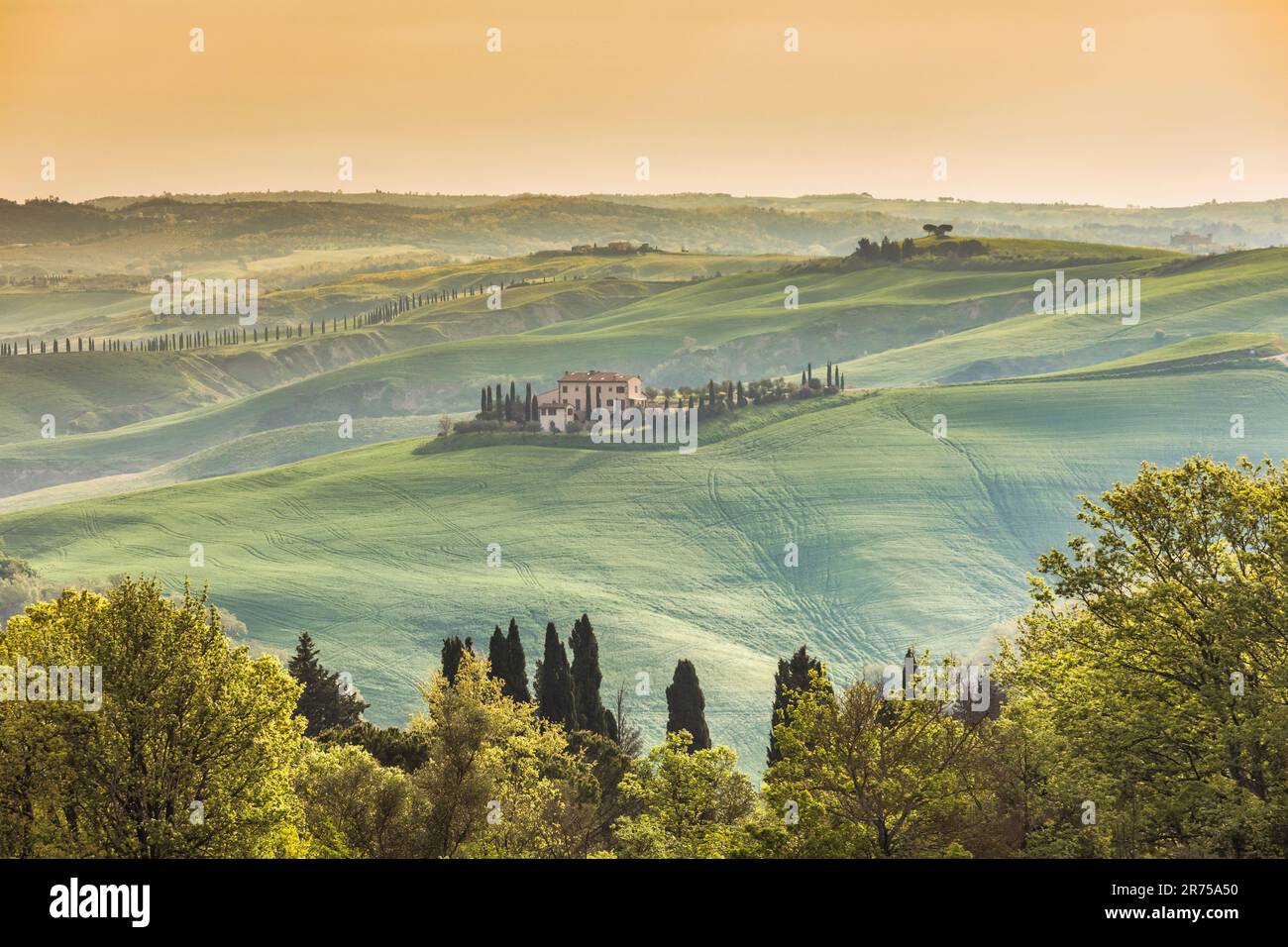 Italie, Toscane, province de Sienne, Val d' Asso, Toscane paysage avec des prairies verdoyantes et des collines avec ferme rurale classique sur le sommet Banque D'Images