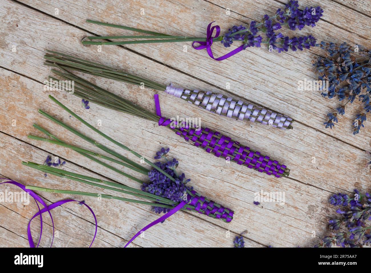 Lavande anglaise (Lavandula angustifolia, Lavandula officinalis), bâtonnets de lavande, lavande fraîche enveloppée de ruban de satin pour armoire à linge Banque D'Images