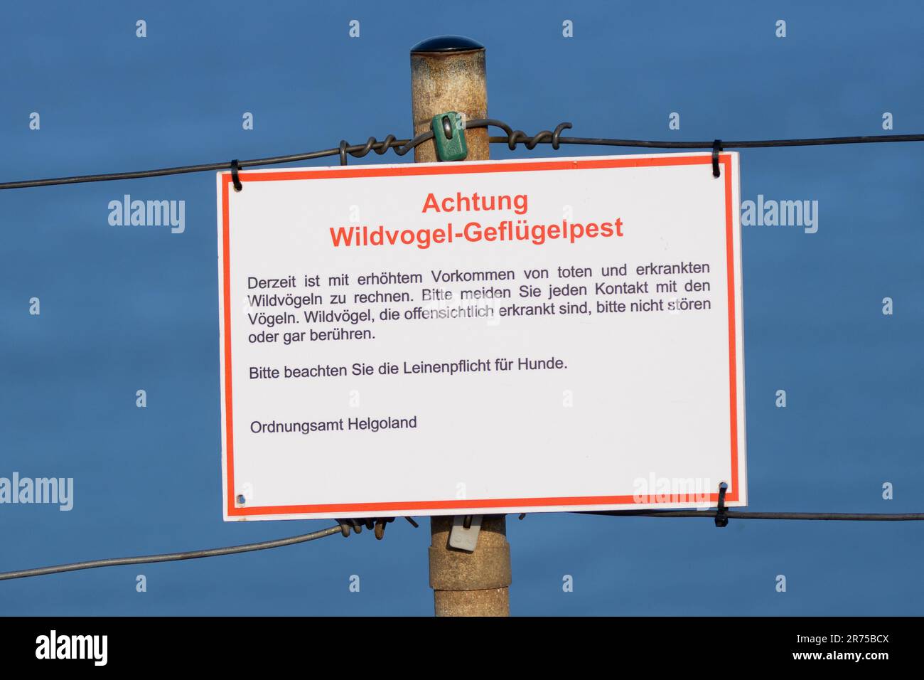 Signe d'avertissement de la grippe aviaire sur Helgoland , Allemagne, Schleswig-Holstein, Heligoland Banque D'Images