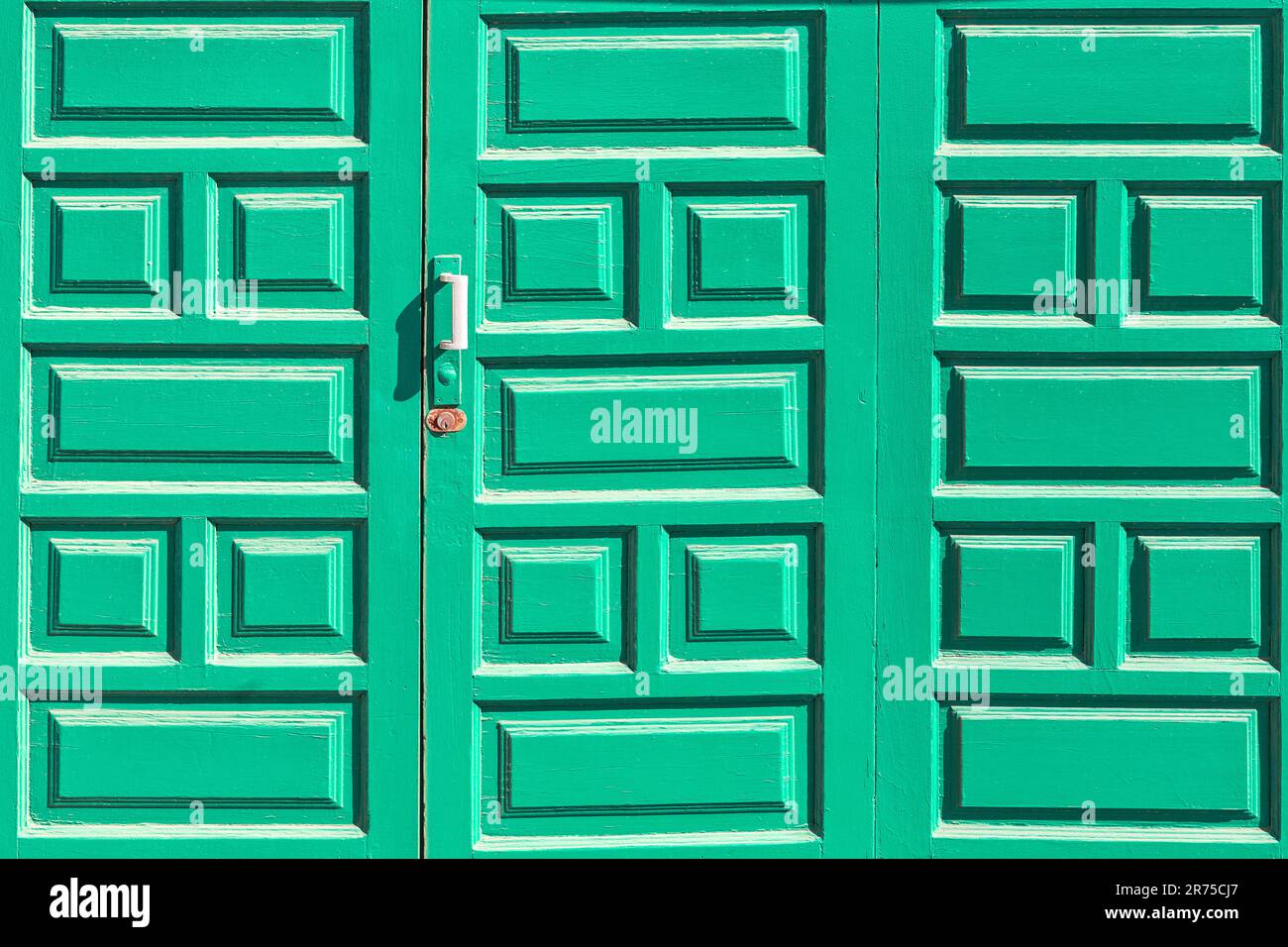 Porte en bois avec des carrés sculptés . Surface en bois vert Banque D'Images