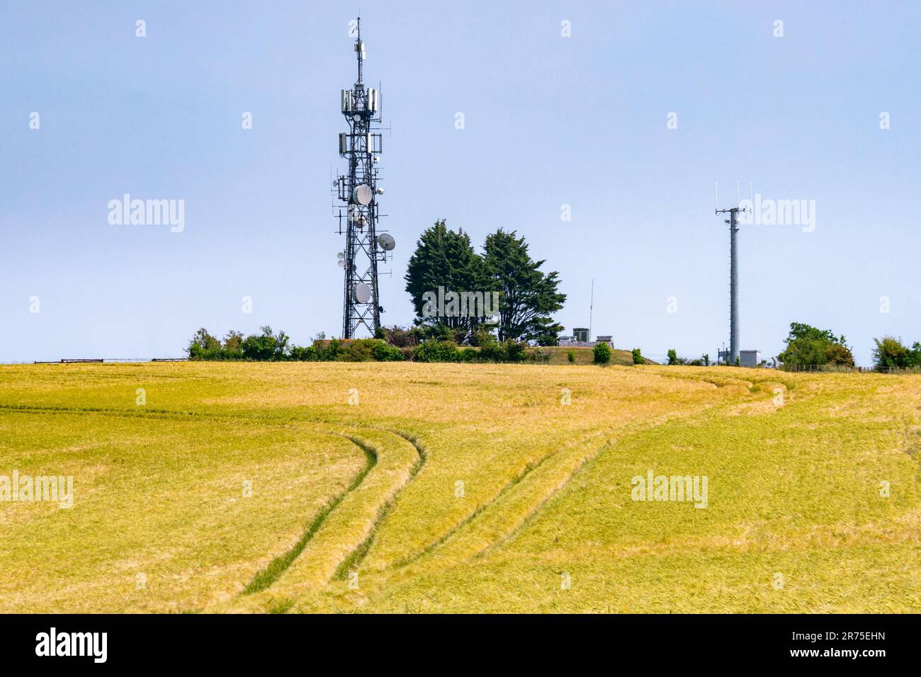 Mât de communication situé dans le parc national de South Downs au nord de Worthing, West Sussex, Royaume-Uni. Banque D'Images
