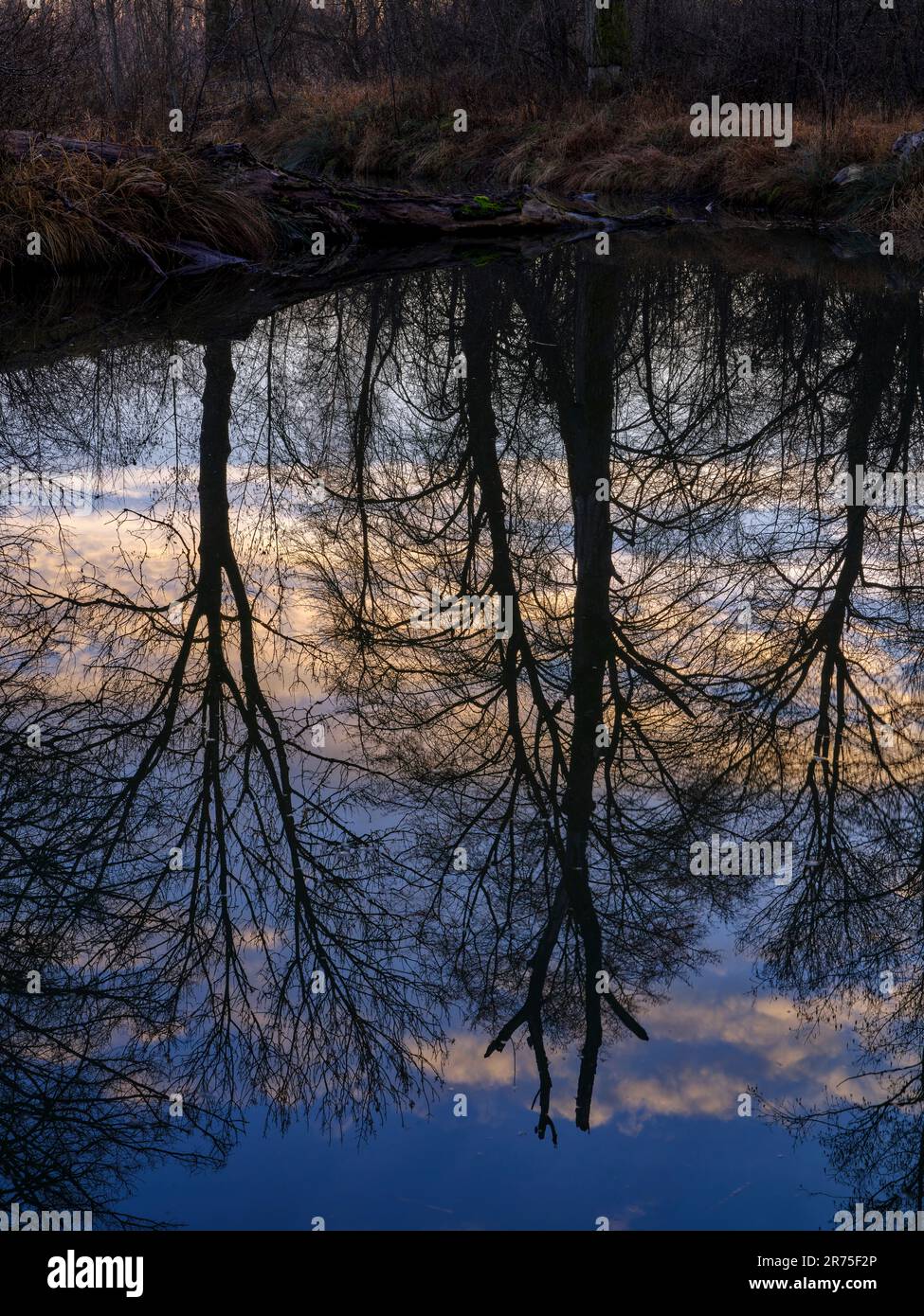 Lever du soleil au réservoir du barrage Lech 22 entre Unterbergen et Königsbrunn Banque D'Images