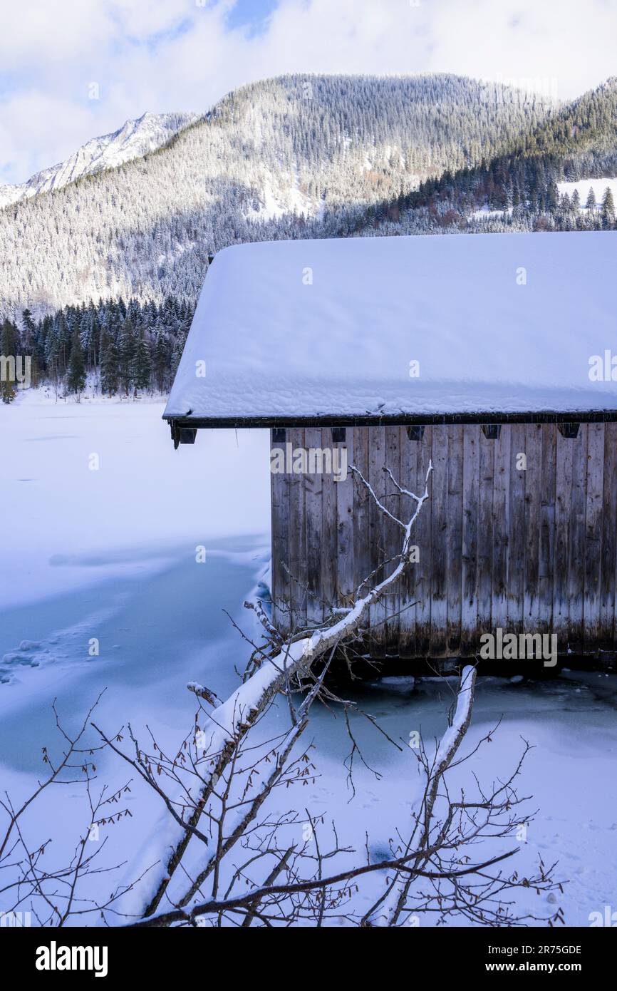 Paysage d'hiver près de Spitzingsee, haute-Bavière, Bavière, Allemagne, Europe Banque D'Images