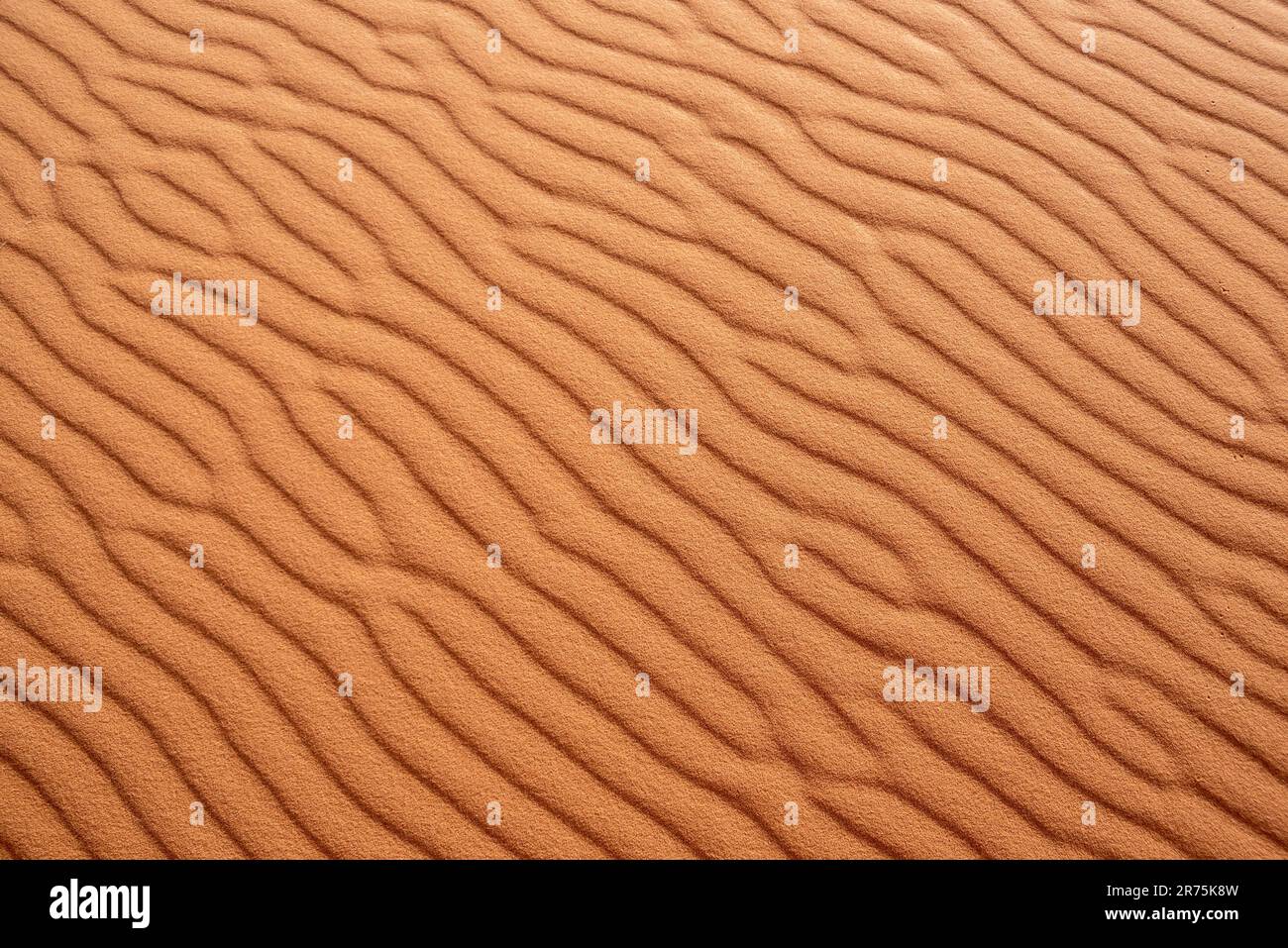 Motif de sable pittoresque sur une dune du désert, tiré du vent, Maroc Banque D'Images