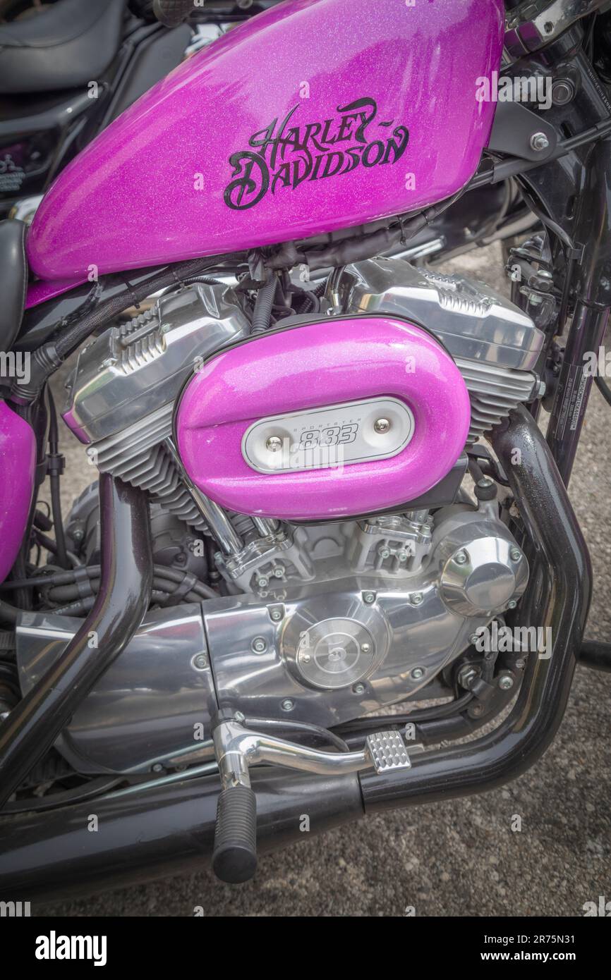 Harley Davidson 883 Sportster, moto, en rose bleu, détails Banque D'Images