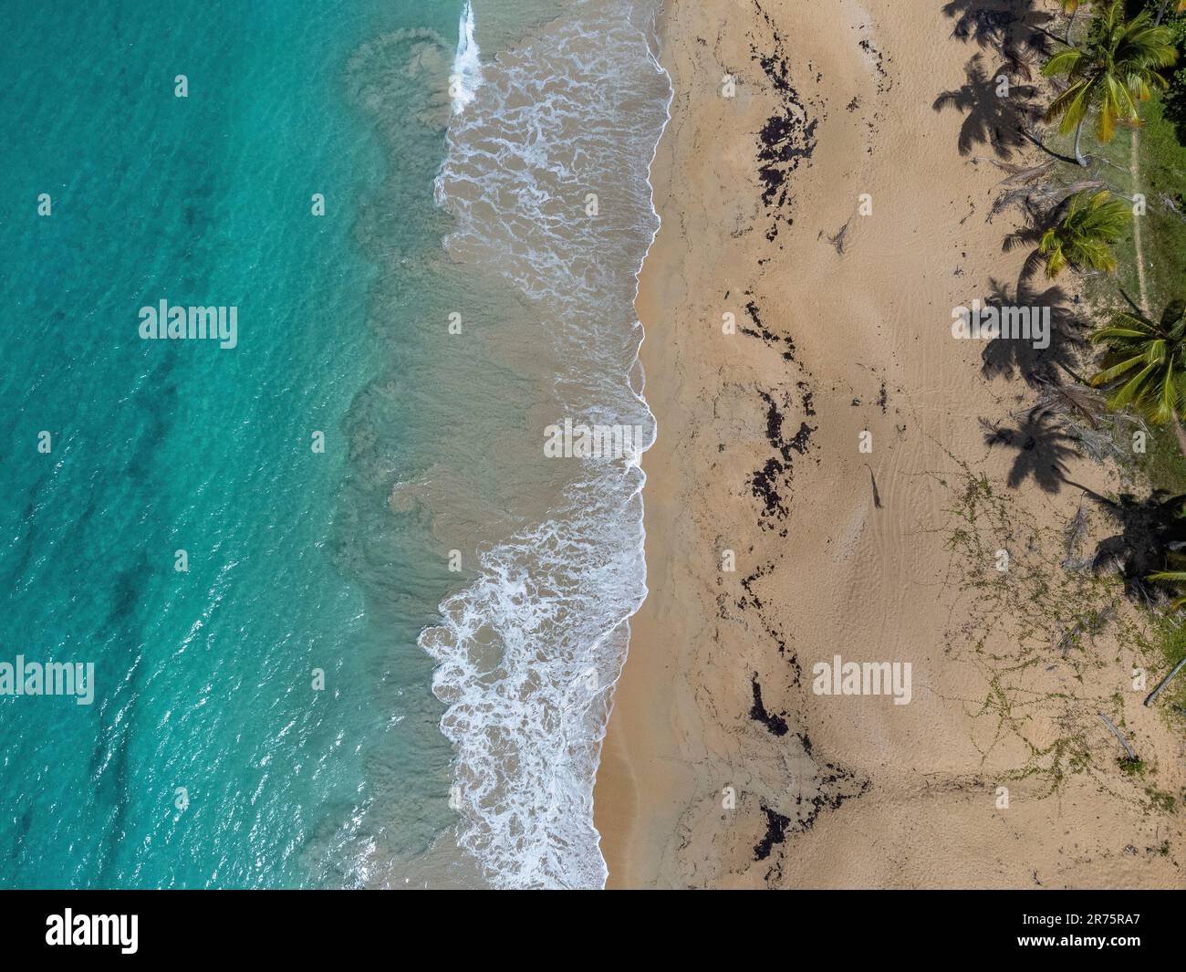 Amérique du Nord, Caraïbes, Grande Antilles, Île d'Hispaniola, République dominicaine, Province de SAMA, péninsule de Sama, Las Galeras, Caribbean Dream Beach à Las Galeras Banque D'Images