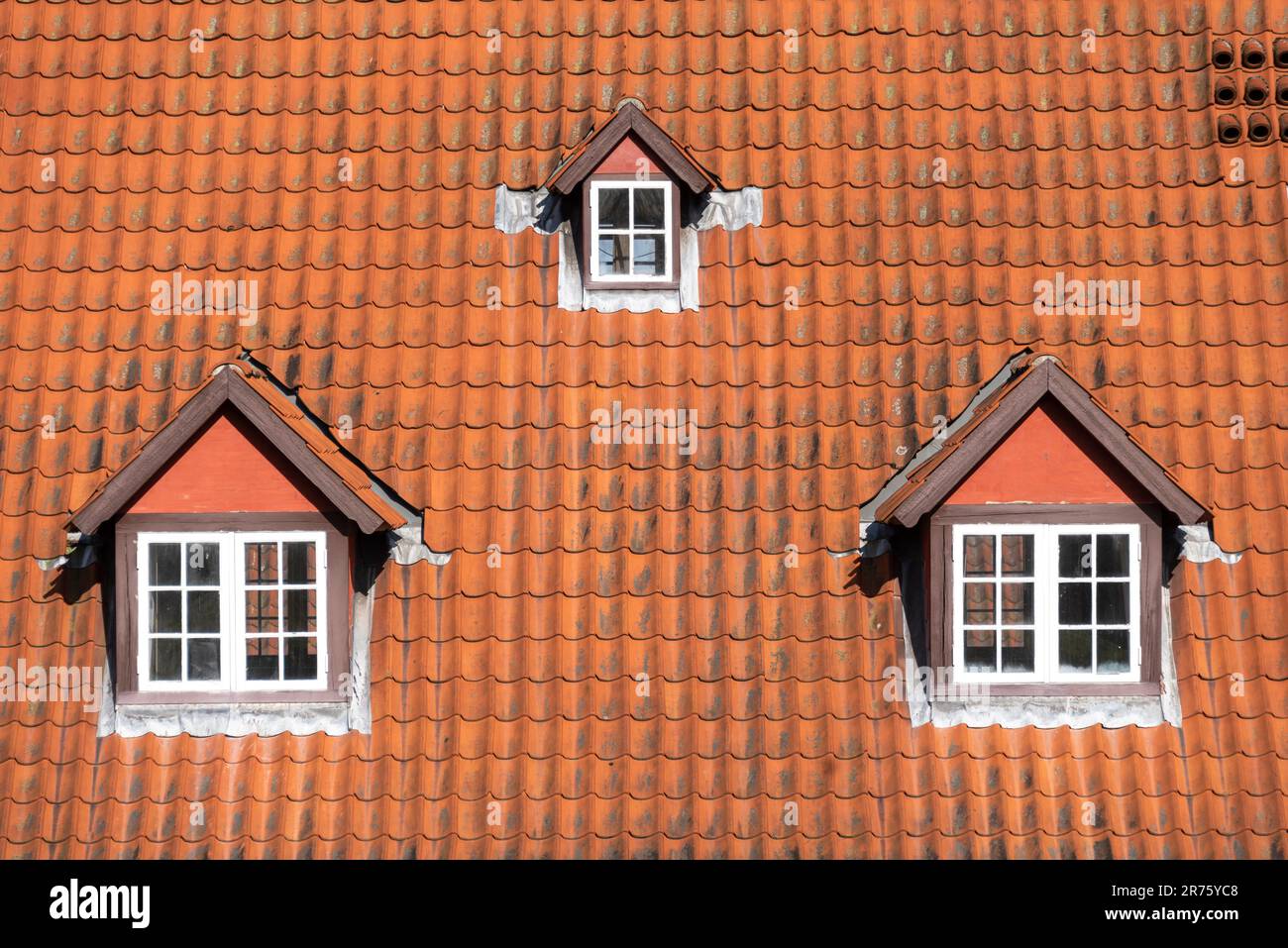 Toit de maison rouge avec baie vitrée, forteresse de Kastellet, Copenhague, Danemark Banque D'Images