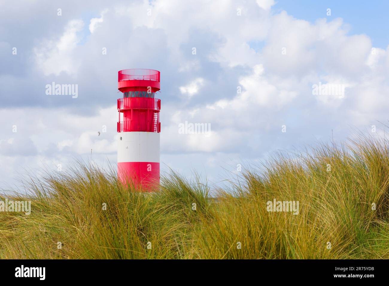 Île voisine de Helgoland, dune de baignade, phare Banque D'Images