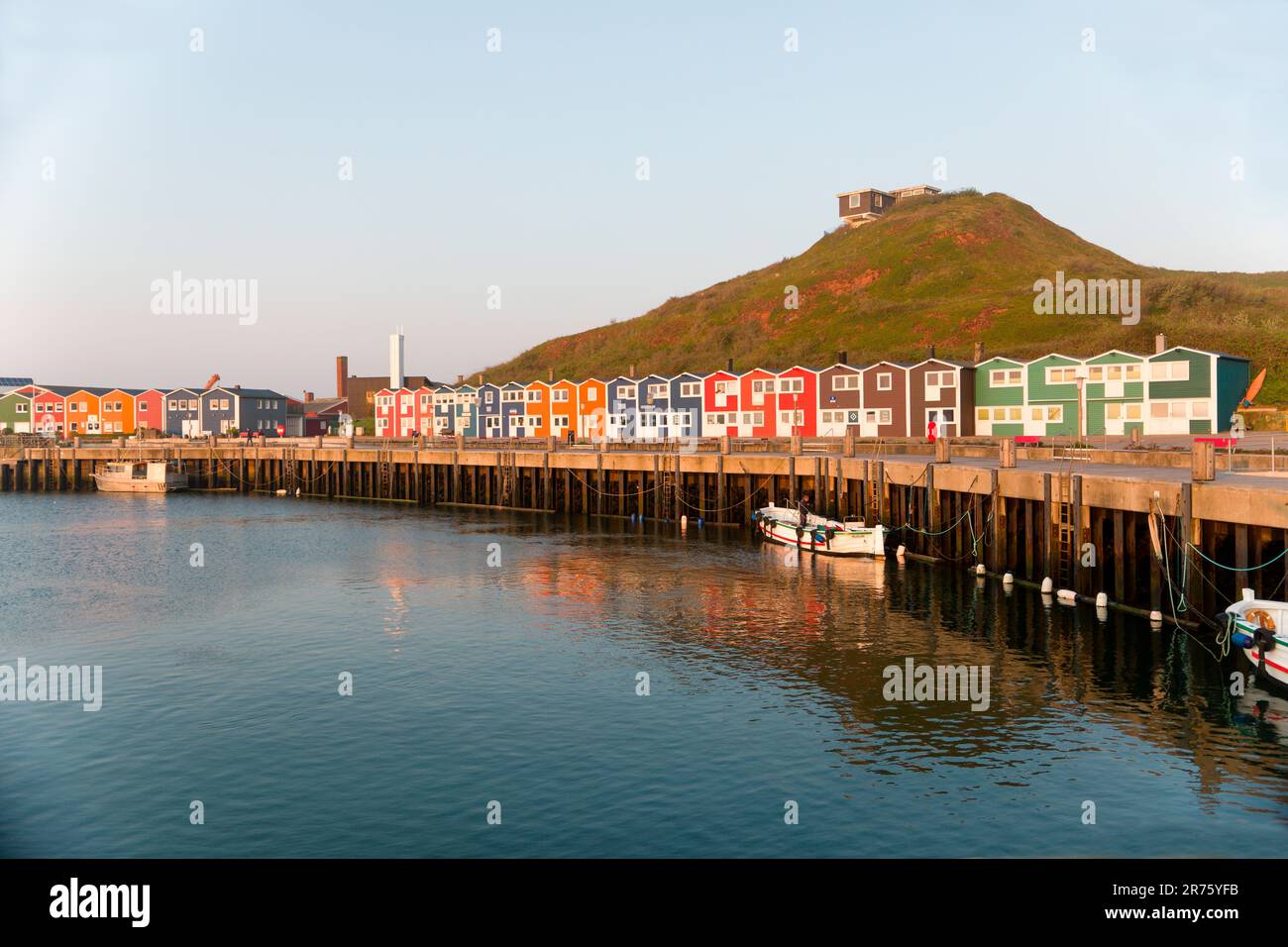 Étals de homard colorés, île Helgoland, Schleswig-Holstein, Allemagne Banque D'Images