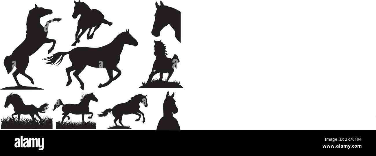 Collection de silhouette de cheval. Illustration vectorielle pour votre conception Illustration de Vecteur