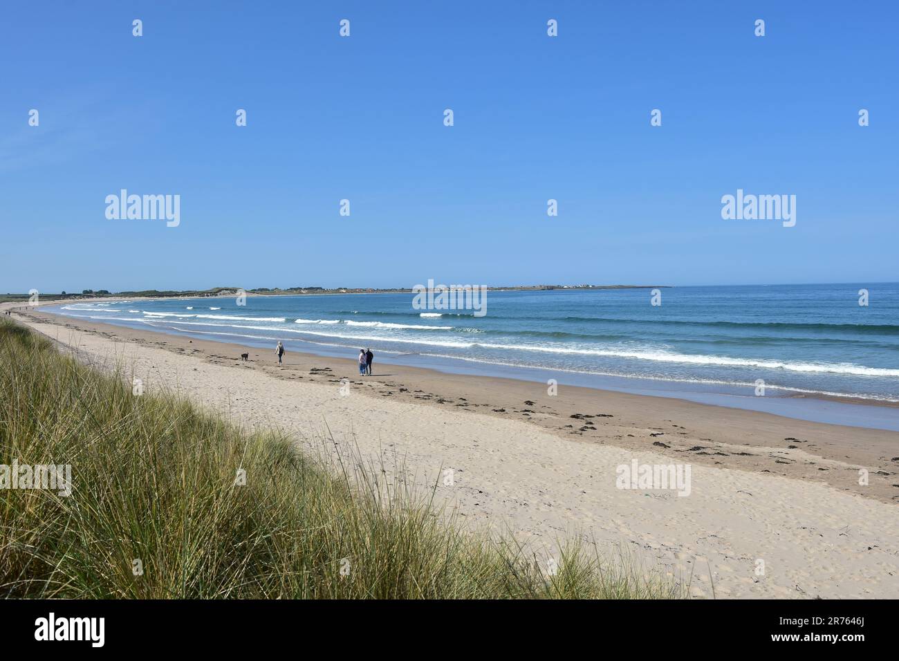 Baie de Beadnell, vue de High Newton par la mer, Northumberland Banque D'Images