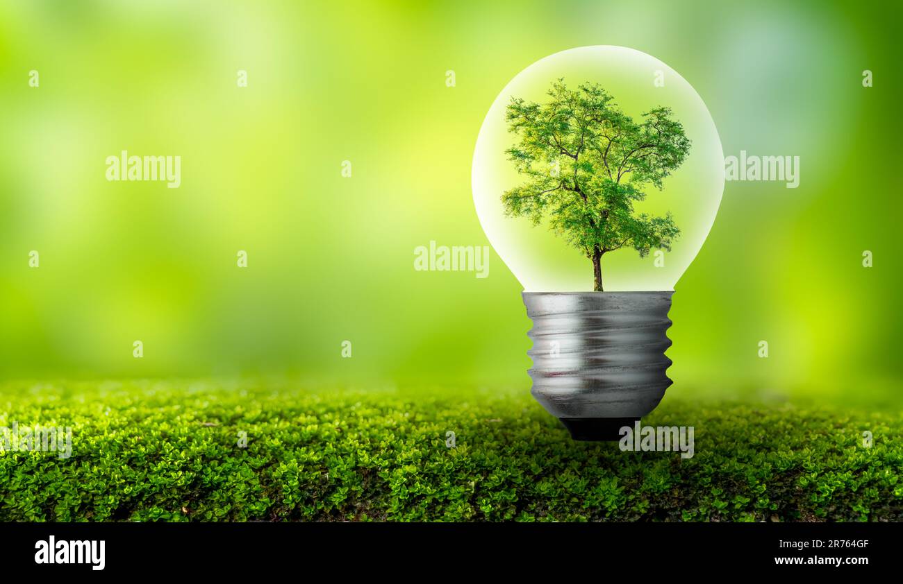 génératif ai. un électrique lumière ampoule sur le vert herbe et une arbre  à l'intérieur il. Terre journée. lumière du soleil dans la nature. énergie  économie concept 25015634 Photo de stock chez