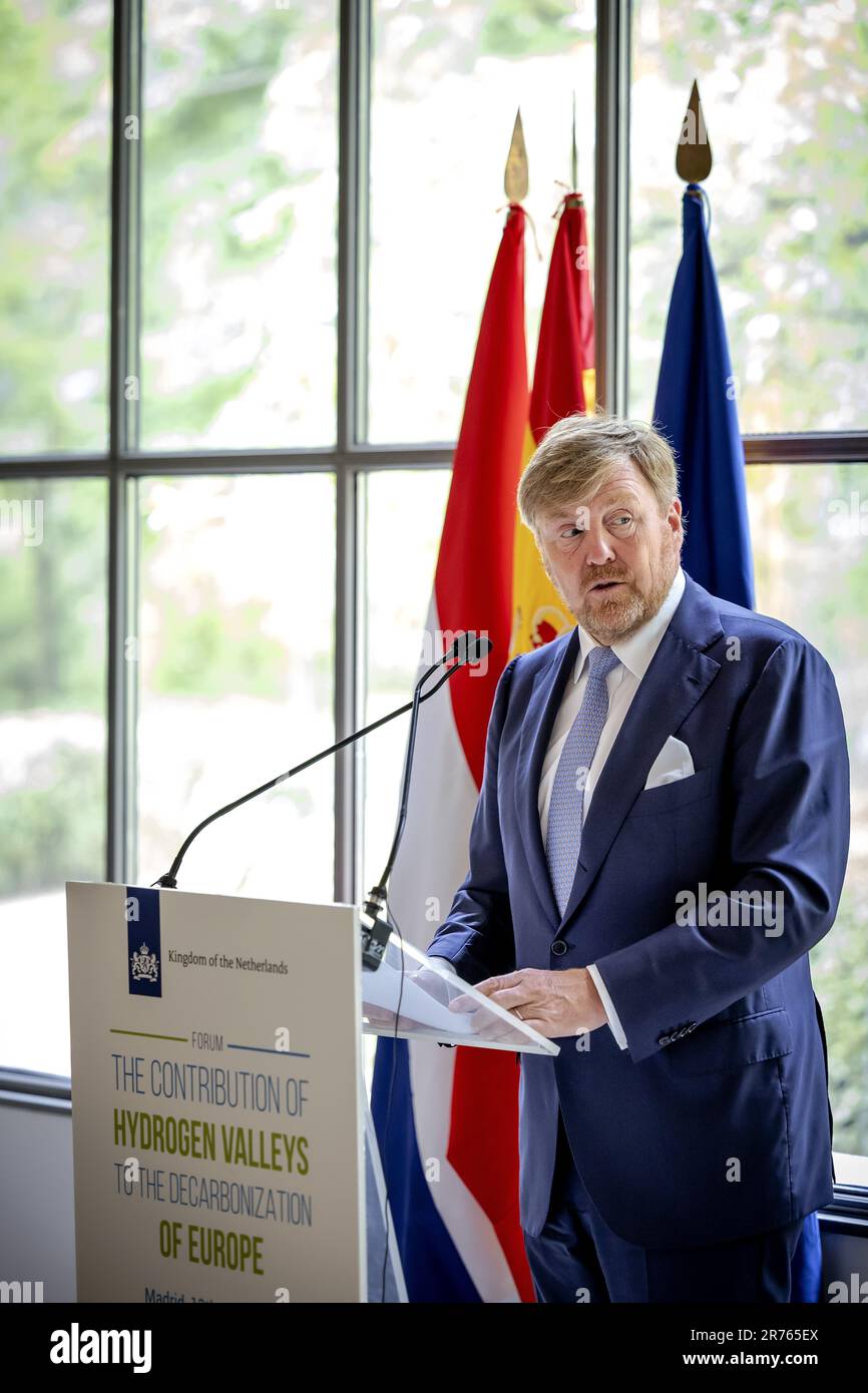 MADRID - Roi Willem-Alexander lors d'un discours en présence du Roi Felipe espagnol dans le jardin botanique Real jardin Botanico. Le roi visitera divers projets d'hydrogène en Espagne pendant deux jours. ANP ROBIN VAN LONKHUIJSEN pays-bas sortie - belgique sortie Banque D'Images