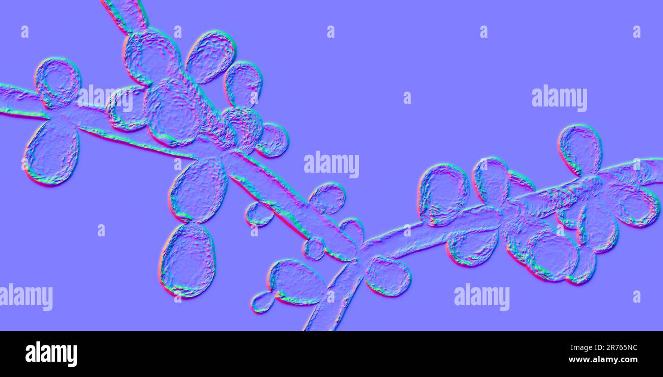 Levures de Candida tropicalis, champignons microscopiques responsables d'infections chez les patients immunodéprimés. Illustration de l'ordinateur montrant des pseudohyphes et des blagues Banque D'Images
