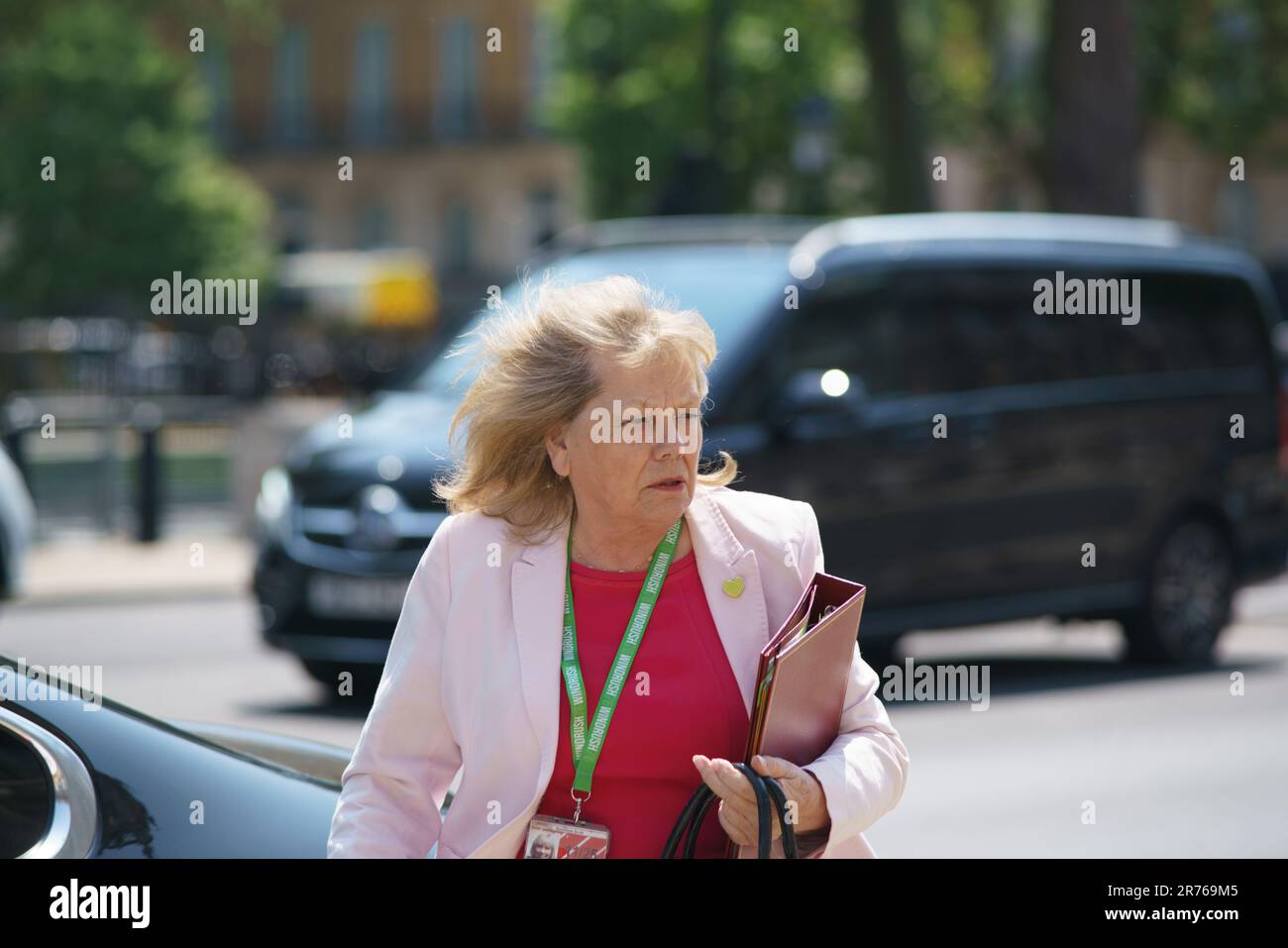 Londres, Royaume-Uni. 13th juin 2023. Les ministres arrivent pour des réunions dans le Bureau du Cabinet. PHOTO : Jane Scott, baronne Scott de Bybrook, sous-secrétaire d'État parlementaire au ministère de la mise à niveau, du logement et des collectivités, et porte-parole des Lords pour le centre d'égalité. Bridget Catterall AlamyLiveNews crédit: Bridget Catterall/Alay Live News Banque D'Images