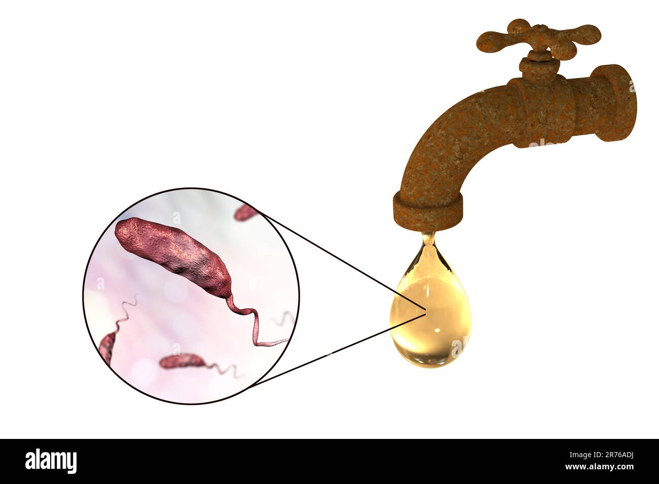 Sécurité de l'eau potable, image conceptuelle montrant des microbes dans une goutte d'eau du robinet. Banque D'Images