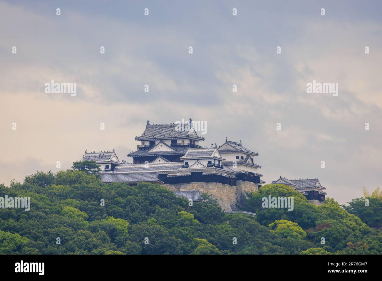 Oiseaux noirs sur le toit du château historique de Matsuyama à Ehime, Japon Banque D'Images