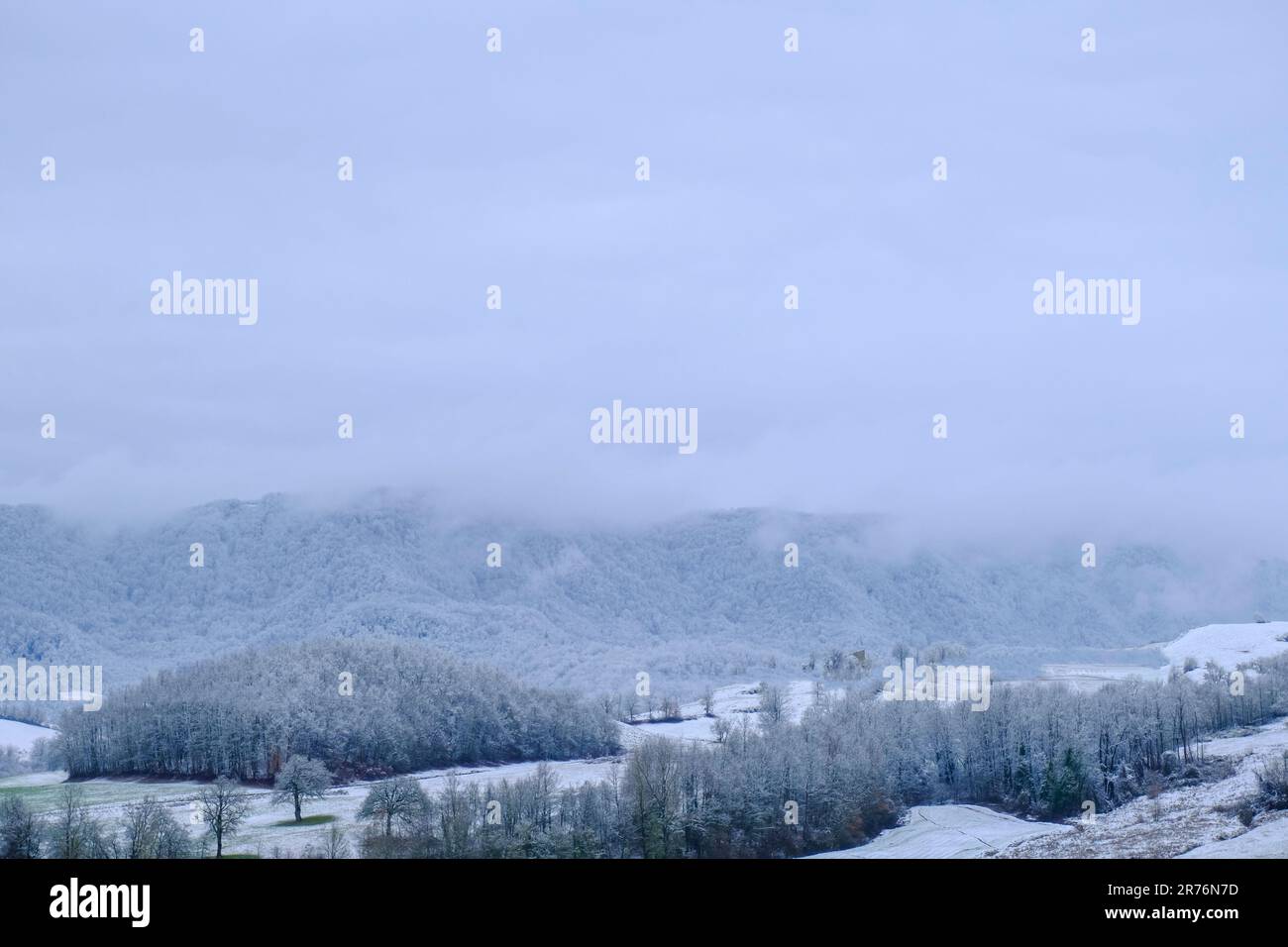 Forêt d'hiver couverte de neige à travers le ciel pendant le blizzard. Hiver nature. Arrière-plan de la nature. Carte postale de Noël Banque D'Images