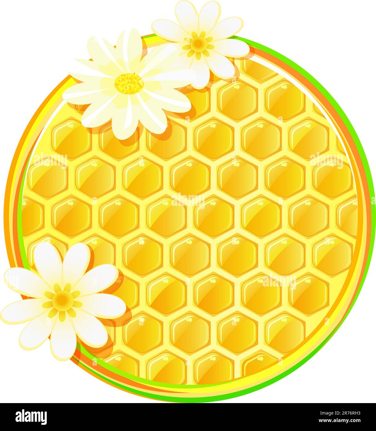 nid d'abeille en cercle avec fleur de camomille isolée sur fond blanc Illustration de Vecteur