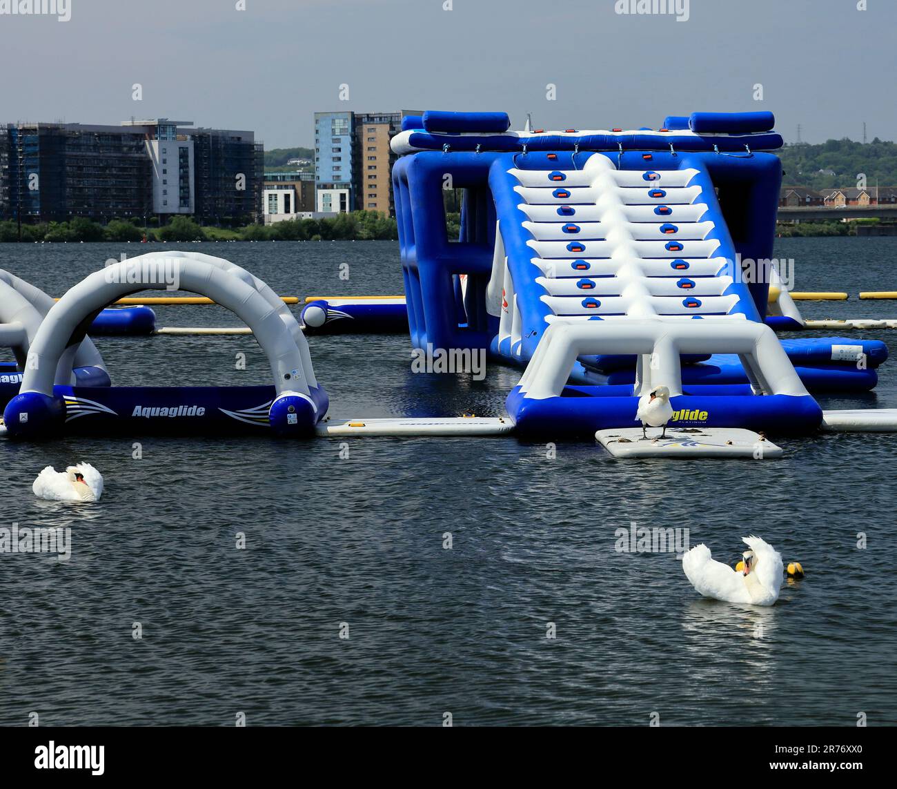 L'Aquapark eau à bord d'un parc activités amusantes sans clients, mais avec des cygnes juin 2023. Été. cym. Banque D'Images