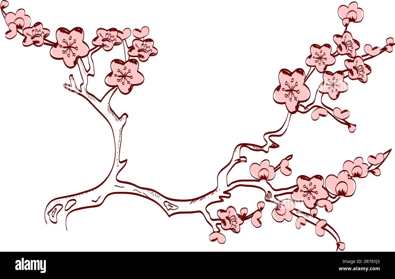 branche de ressort en fleur de cerisier vector. style japonais Illustration de Vecteur