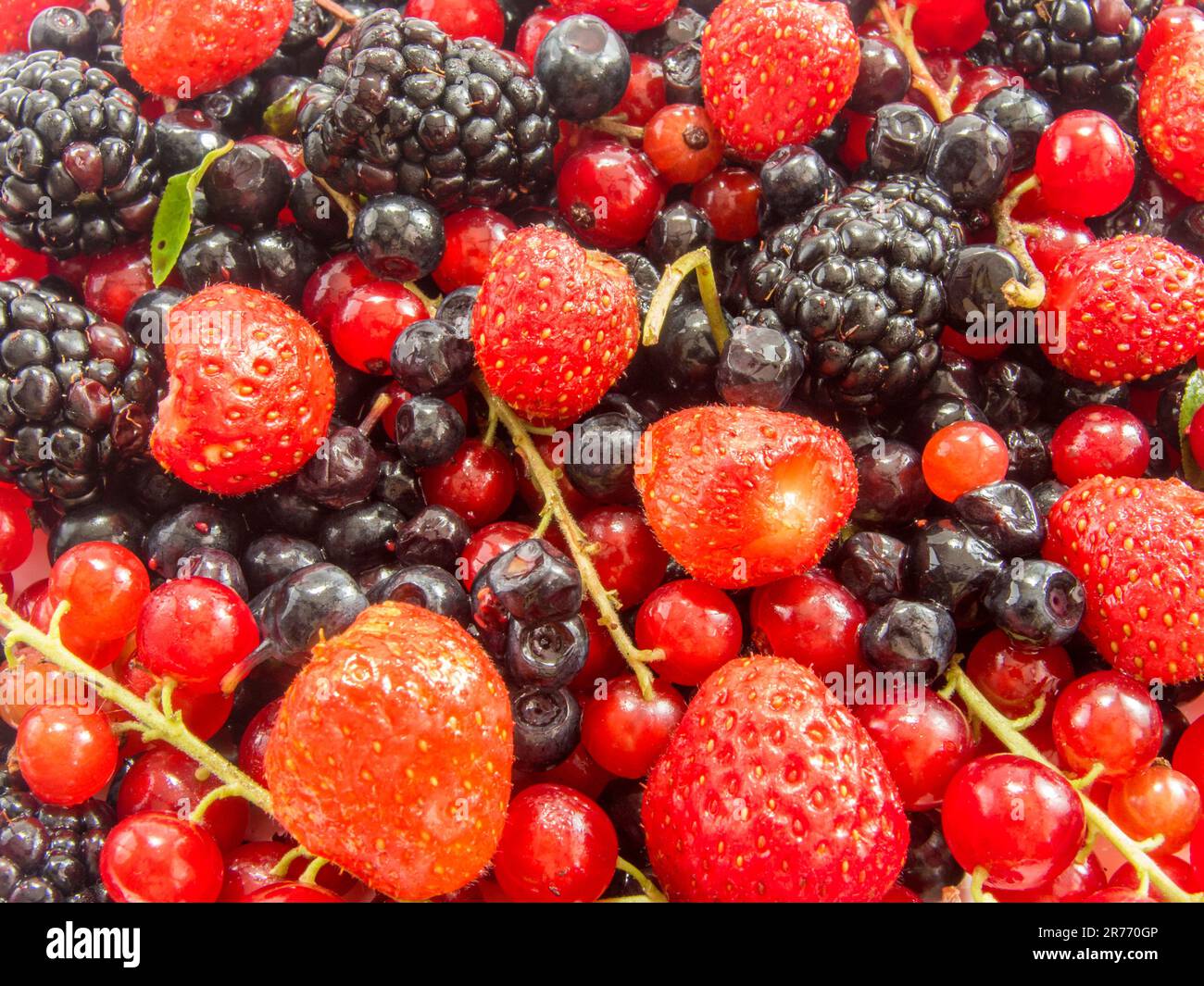 tas de fruits de forêt mûrs assortis et d'autres baies Banque D'Images