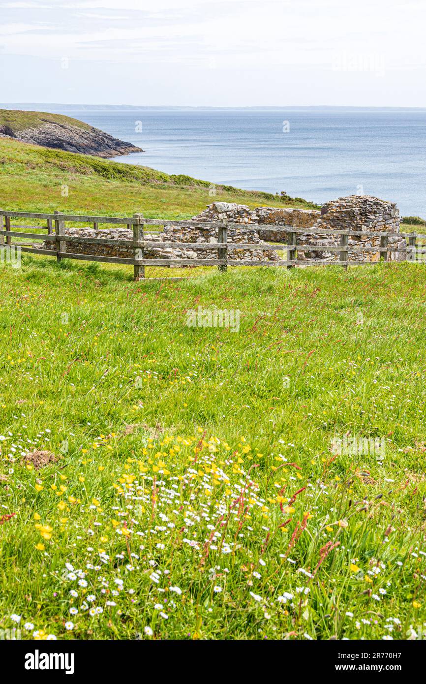 Les ruines de la chapelle Saint-non à St-non's Bay, sur la péninsule St-David, dans le parc national de la côte de Pembrokeshire, au pays de Galles, au Royaume-Uni Banque D'Images