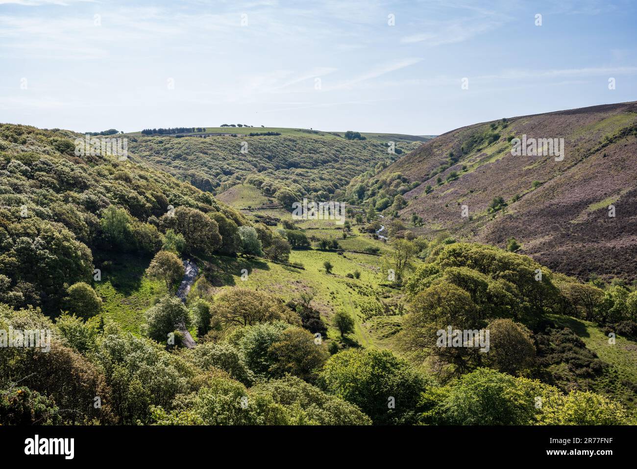 Le soleil brille sur les collines des moorland entourant la haute vallée de l'Oare dans le Somerset Ouest. Banque D'Images