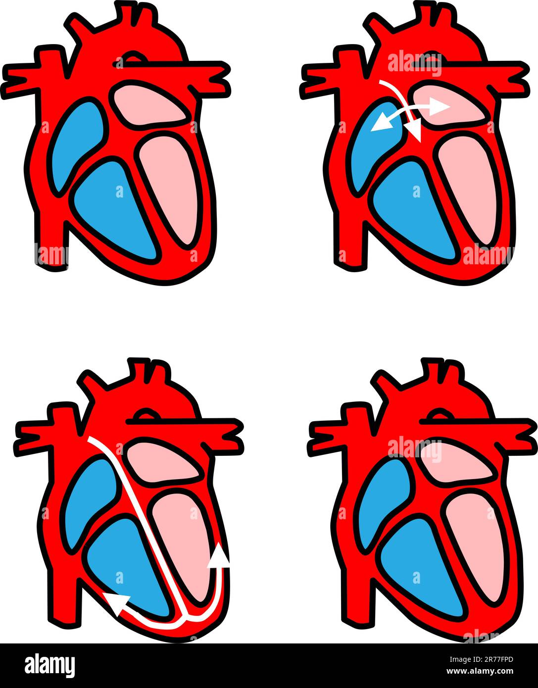 Illustration vectorielle Cardio fréquence cardiaque . Idéal pour les examens scientifiques, médicaux Illustration de Vecteur