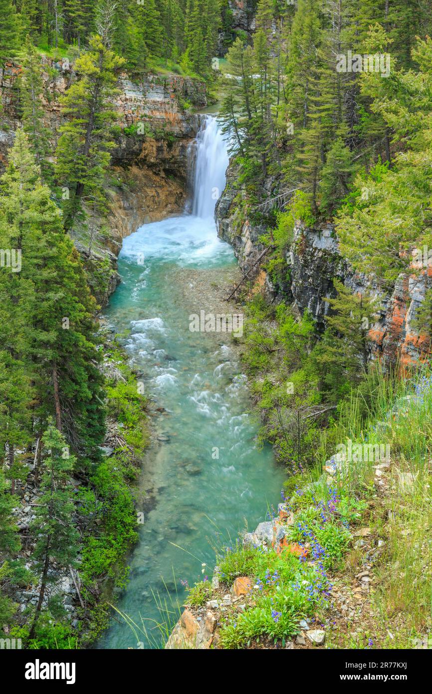 cascade sur falls creek le long du front de montagne rocheux dans la forêt nationale d'helena près d'augusta, montana Banque D'Images